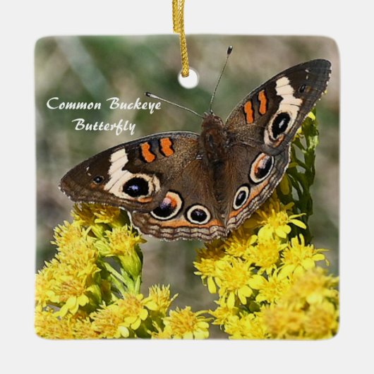 Common Buckey Butterfly Photoオーナメント セラミックオーナメント (正面)