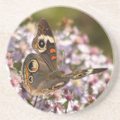 Common Buckeye on Pink Aster コースター (正面)