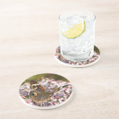 Common Buckeye on Pink Aster コースター (側面)