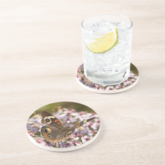 Common Buckeye on Pink Aster コースター (側面)