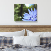 Common Chicory Canvas Print キャンバスプリント (インサイチュ (寝室))
