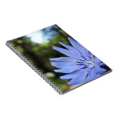 Common Chicory Spiralフォトノートブック ノートブック (右側)