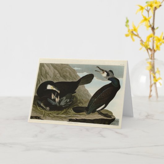 Common Cormorant - Audubon's Birds of America カード (黄色い花)