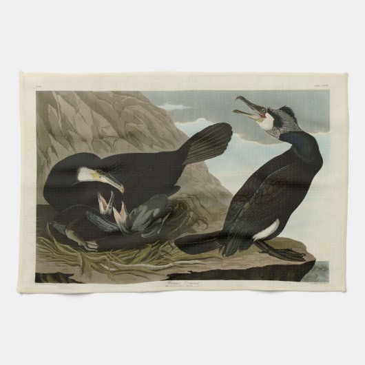 Common Cormorant - Audubon's Birds of America キッチンタオル (横)