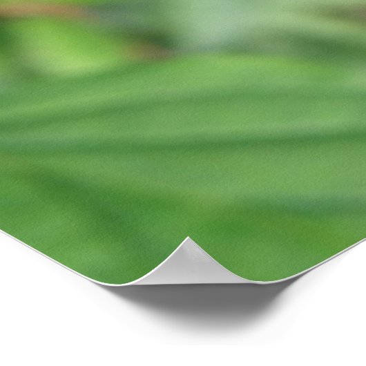 Common Darter Dragonflyポスター ポスター (角)