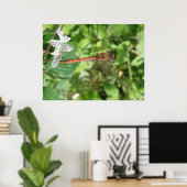 Common Darter Dragonflyポスター ポスター (ホームオフィス)