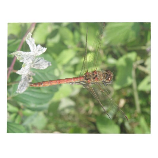 Common Darter Dragonflyメモ帳 ノートパッド (正面)