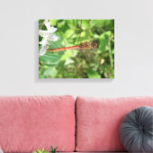 Common Darter Dragonfly Canvas Print キャンバスプリント (インサイチュ (リビング))