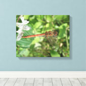Common Darter Dragonfly Canvas Print キャンバスプリント (インサイチュ (ウッドフロア))
