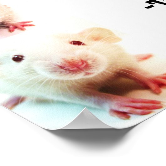 Common Dream Poster ポスター (角)