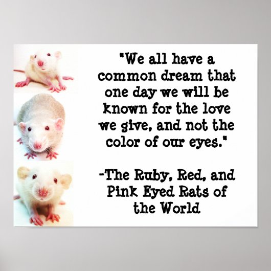 Common Dream Poster ポスター (正面)