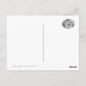 Common Garden Peony ポストカード (裏面)