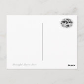 Common Garden Peony ポストカード (裏面)