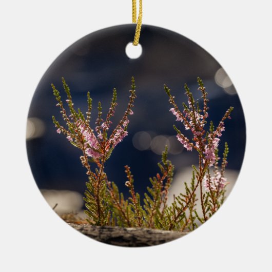 Common Heather自然写真 セラミックオーナメント (正面)