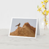 Common Kestrel Bird、Falco Tinnunculusカード カード (黄色い花)