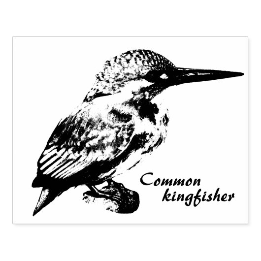 Common kingfisher ラバースタンプ (インプリント)