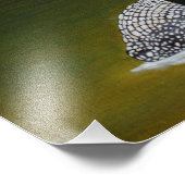 Common Loon Photoプリント フォトプリント (角)