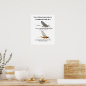 Common Mayfly Spectures - East Coast Artポスター ポスター (キッチン)