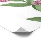 Common Milkweed ポスター (角)