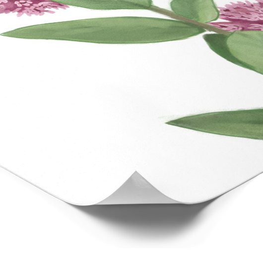 Common Milkweed ポスター (角)