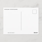 Common Pigeon Perched on a Wooden Bench in the Par ポストカード (裏面)