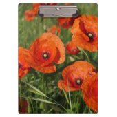 Common Poppies  クリップボード (正面)