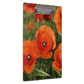 Common Poppies クリップボード (右)