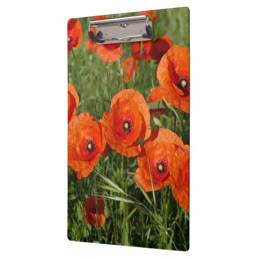 Common Poppies クリップボード (左)