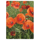 Common Poppies クリップボード (裏面)