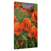 Common Poppies クリップボード (右)