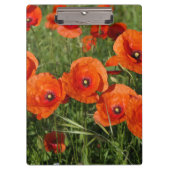 Common Poppies  クリップボード (正面)