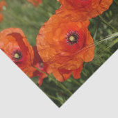 Common Poppies  薄葉紙 (詳細)