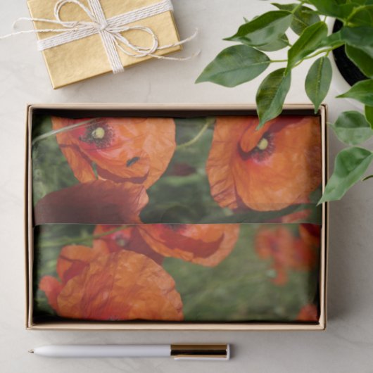 Common Poppies  薄葉紙 (ギフト)