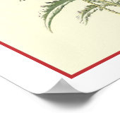 "Common Poppy"植物学イラストレーション ポスター (角)