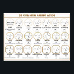 Common quide to 20 common amino acids ポスター<br><div class="desc">A chart describing 20 common amino acids with structure, its pKa, and its codon and an abbreviation.</div>