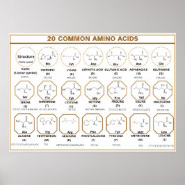 Common quide to 20 common amino acids ポスター