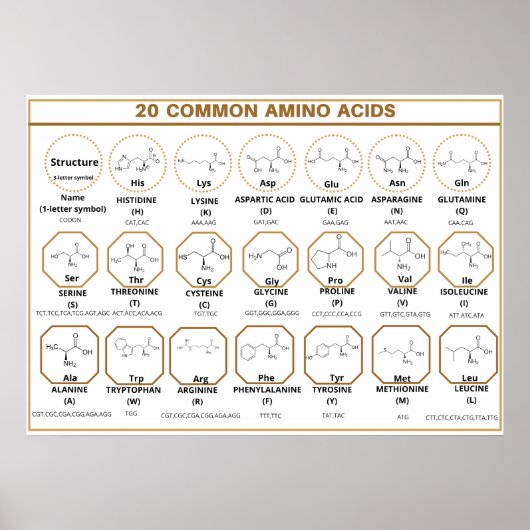 Common quide to 20 common amino acids ポスター (正面)