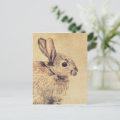 Common Rabbit Water Color Sketchはがき ポストカード (スタンド正面)