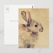 Common Rabbit Water Color Sketchはがき ポストカード (正面/裏面)