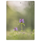 Common Self-Heal自然写真 クリップボード (裏面)