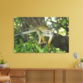 Common Squirrel Monkey(Saimiri sciureus)、Rio キャンバスプリント (インサイチュ (リビング))
