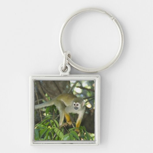 Common Squirrel Monkey(Saimiri sciureus)、Rio キーホルダー (正面)