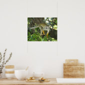 Common Squirrel Monkey(Saimiri sciureus)、Rio ポスター (キッチン)