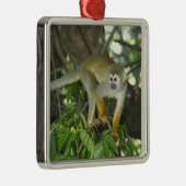 Common Squirrel Monkey(Saimiri sciureus)、Rio メタルオーナメント (右)