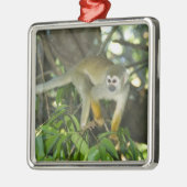 Common Squirrel Monkey(Saimiri sciureus)、Rio メタルオーナメント (左)