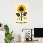 Common Sunflower Plant A2 A3 A4 Matte Art Print ポスター (ホームオフィス)