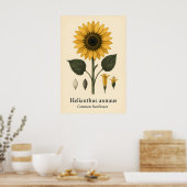Common Sunflower Plant A2 A3 A4 Matte Art Print ポスター (キッチン)