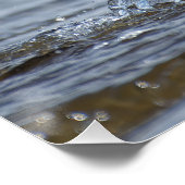 Common Tern自然写真ポスター ポスター (コーナー)