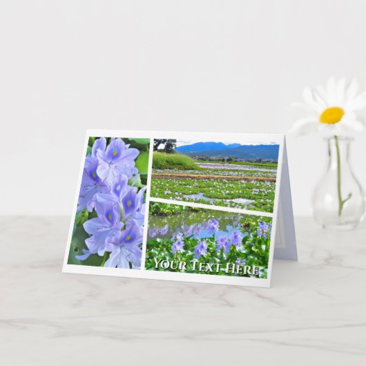 Common Water Hyacinth カード (小さな植物)