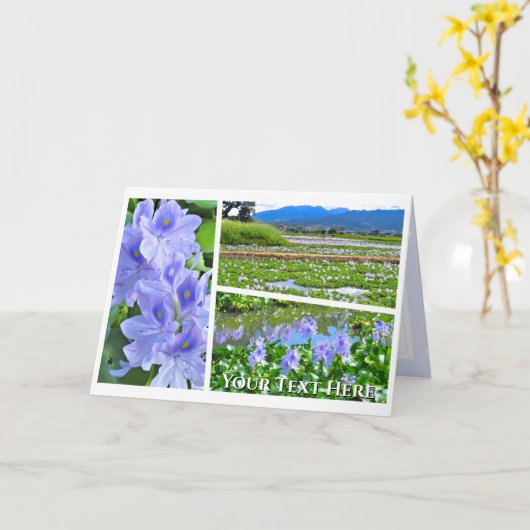 Common Water Hyacinth カード (黄色い花)